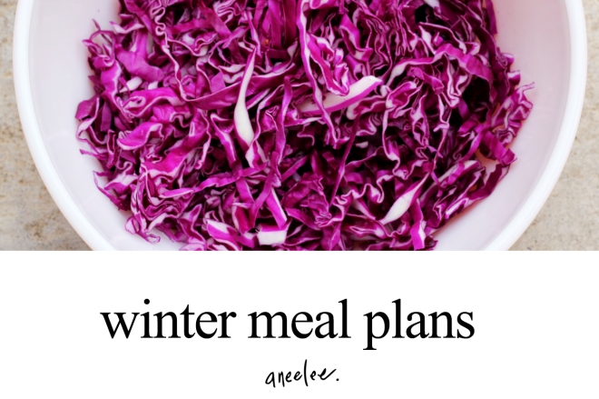 aneelee_winter_meal_plan 2
