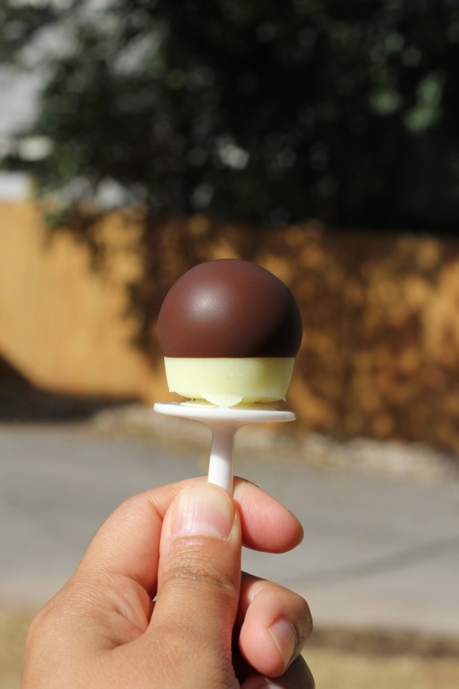 tiny yogurt pops in chocolate | aneelee.wordpress.com